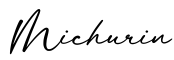 单词Michurin书写