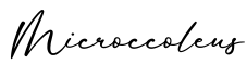单词Microccoleus书写