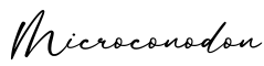 单词Microconodon书写