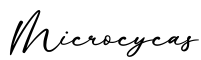 单词Microcycas书写