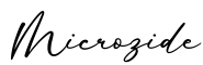 单词Microzide书写