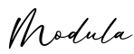 单词Modula书写