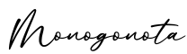 单词Monogonota书写