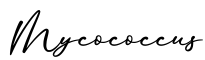 单词Mycococcus书写
