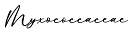 单词Myxococcaceae书写