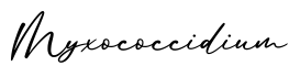 单词Myxococcidium书写