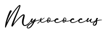 单词Myxococcus书写