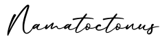 单词Namatoctonus书写
