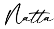 单词Natta书写