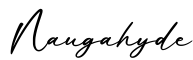 单词Naugahyde书写