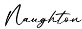 单词Naughton书写