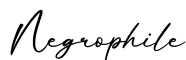 单词Negrophile书写