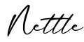 单词Nettle书写