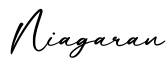 单词Niagaran书写
