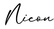 单词Nicon书写
