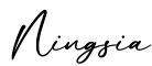 单词Ningsia书写