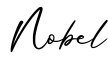 单词Nobel书写
