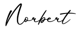 单词Norbert书写