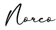 单词Norco书写