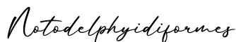 单词Notodelphyidiformes书写