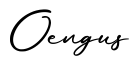 单词Oengus书写
