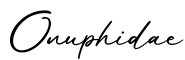单词Onuphidae书写