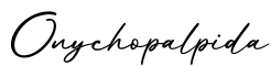 单词Onychopalpida书写