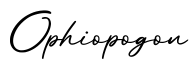 单词Ophiopogon书写