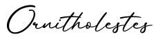 单词Ornitholestes书写