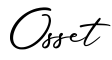 单词Osset书写