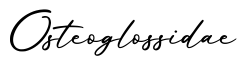 单词Osteoglossidae书写