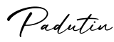 单词Padutin书写