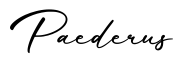 单词Paederus书写