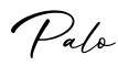 单词Palo书写