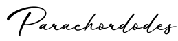 单词Parachordodes书写