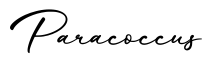 单词Paracoccus书写