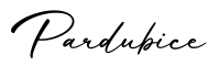 单词Pardubice书写