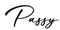 单词Passy书写