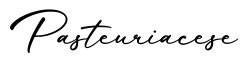 单词Pasteuriacese书写