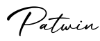 单词Patwin书写
