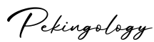单词Pekingology书写