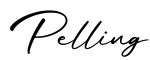 单词Pelling书写