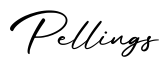 单词Pellings书写