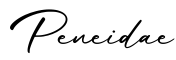 单词Peneidae书写
