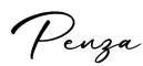 单词Penza书写