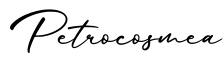 单词Petrocosmea书写
