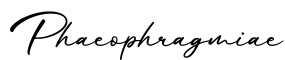 单词Phaeophragmiae书写
