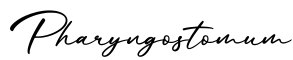 单词Pharyngostomum书写