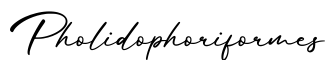 单词Pholidophoriformes书写