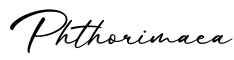 单词Phthorimaea书写
